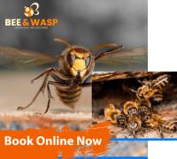 Bee Removal Melbourne image 2